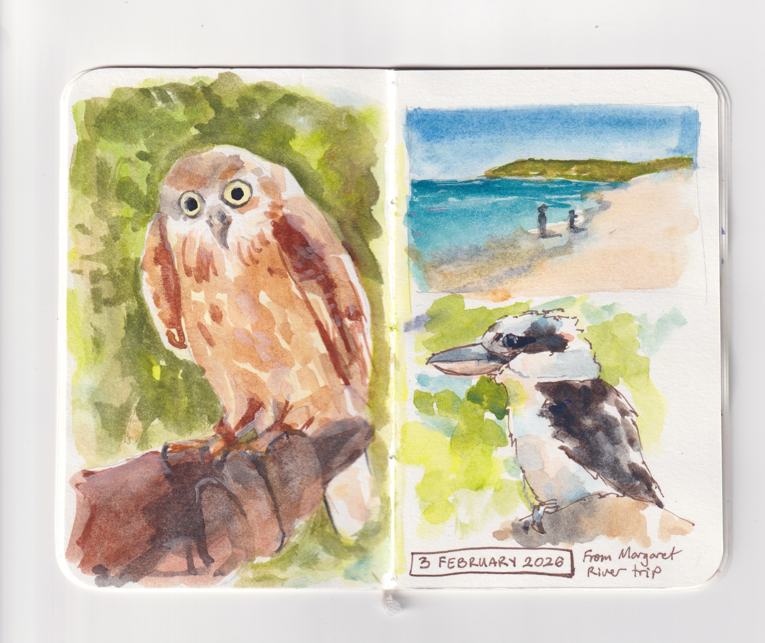 Sketchbook with watercolour birds